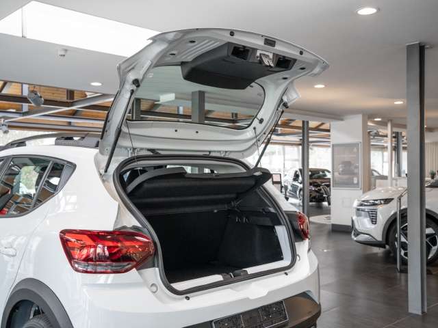 Fahrzeugbild eines Dacia Sandero