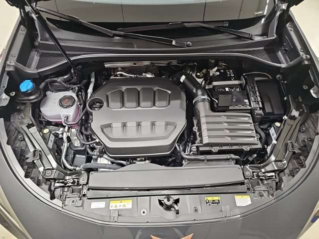 Fahrzeugbild eines CUPRA Terramar