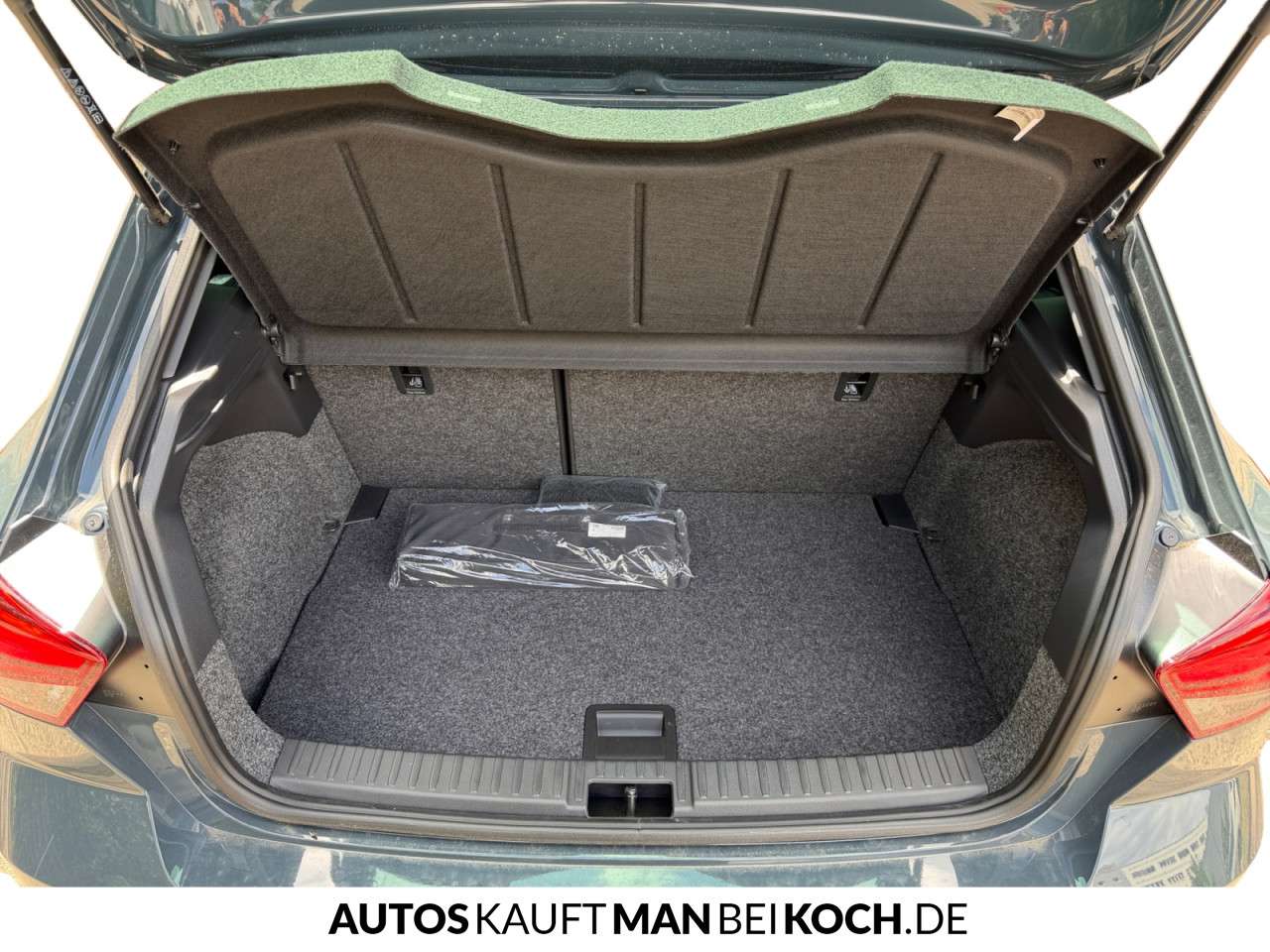 Fahrzeugbild eines SEAT Ibiza