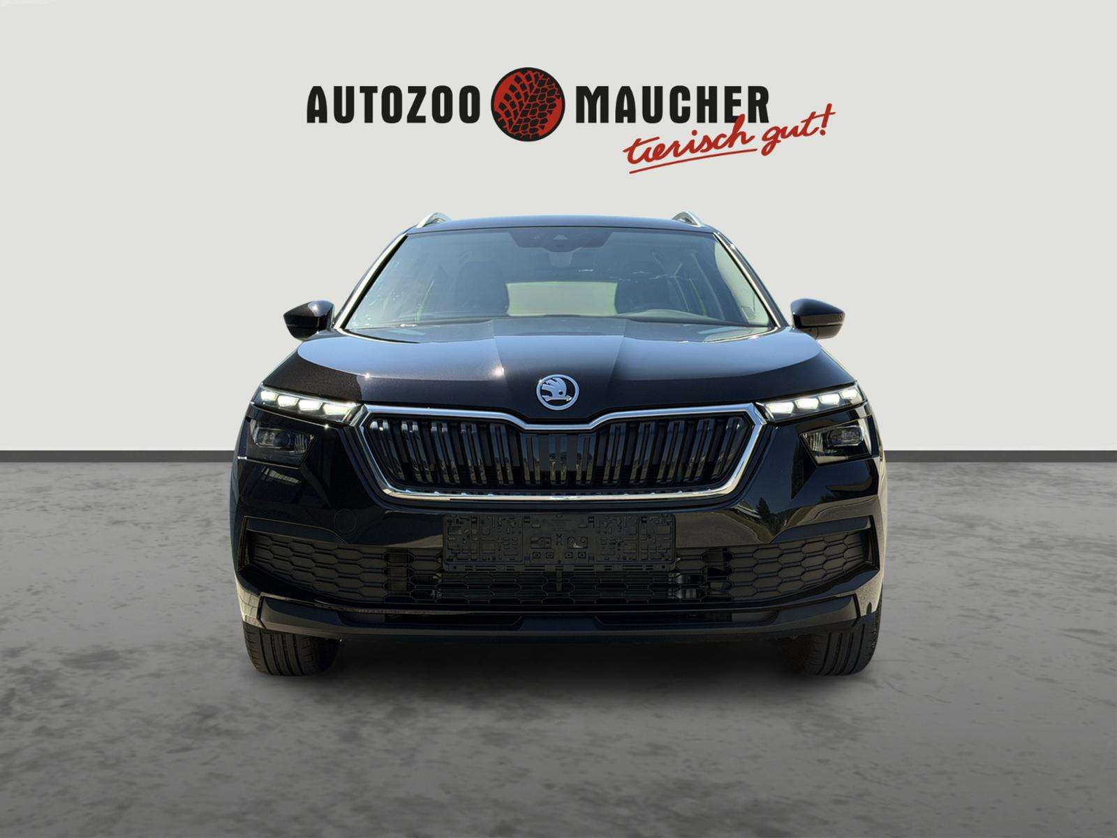 Fahrzeugbild eines Skoda Kamiq