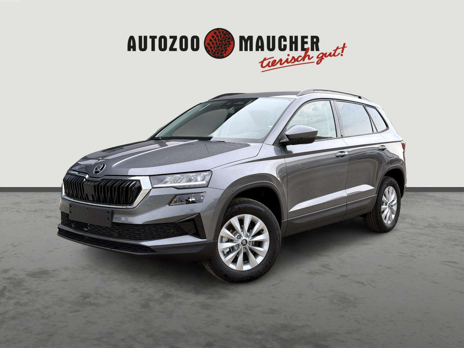 Fahrzeugbild eines Skoda Karoq