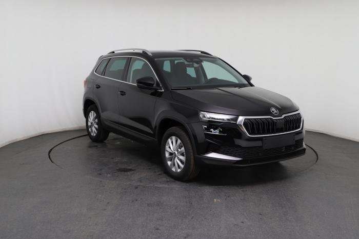 Fahrzeugbild eines Skoda Karoq