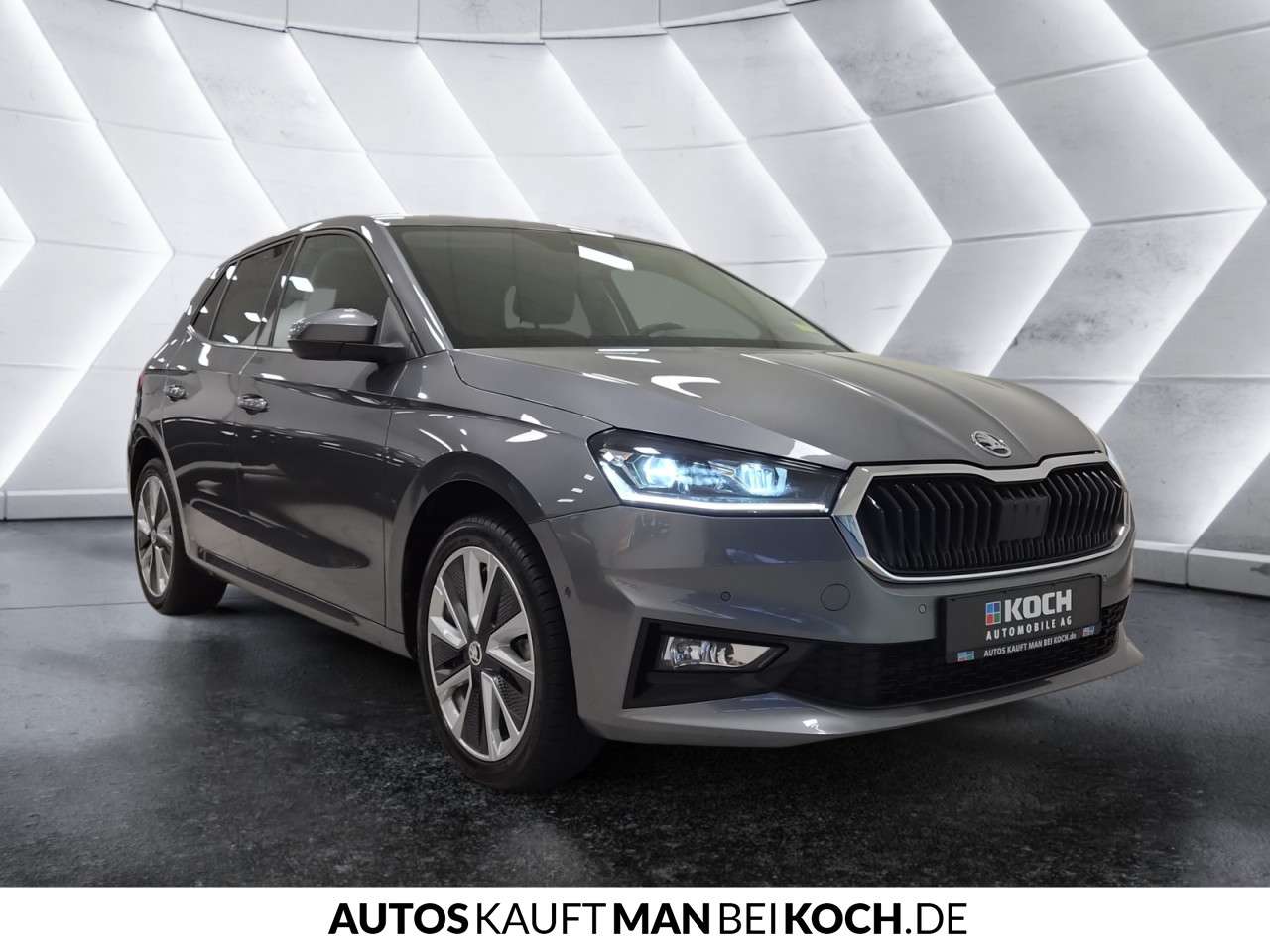 Fahrzeugbild eines Skoda Fabia