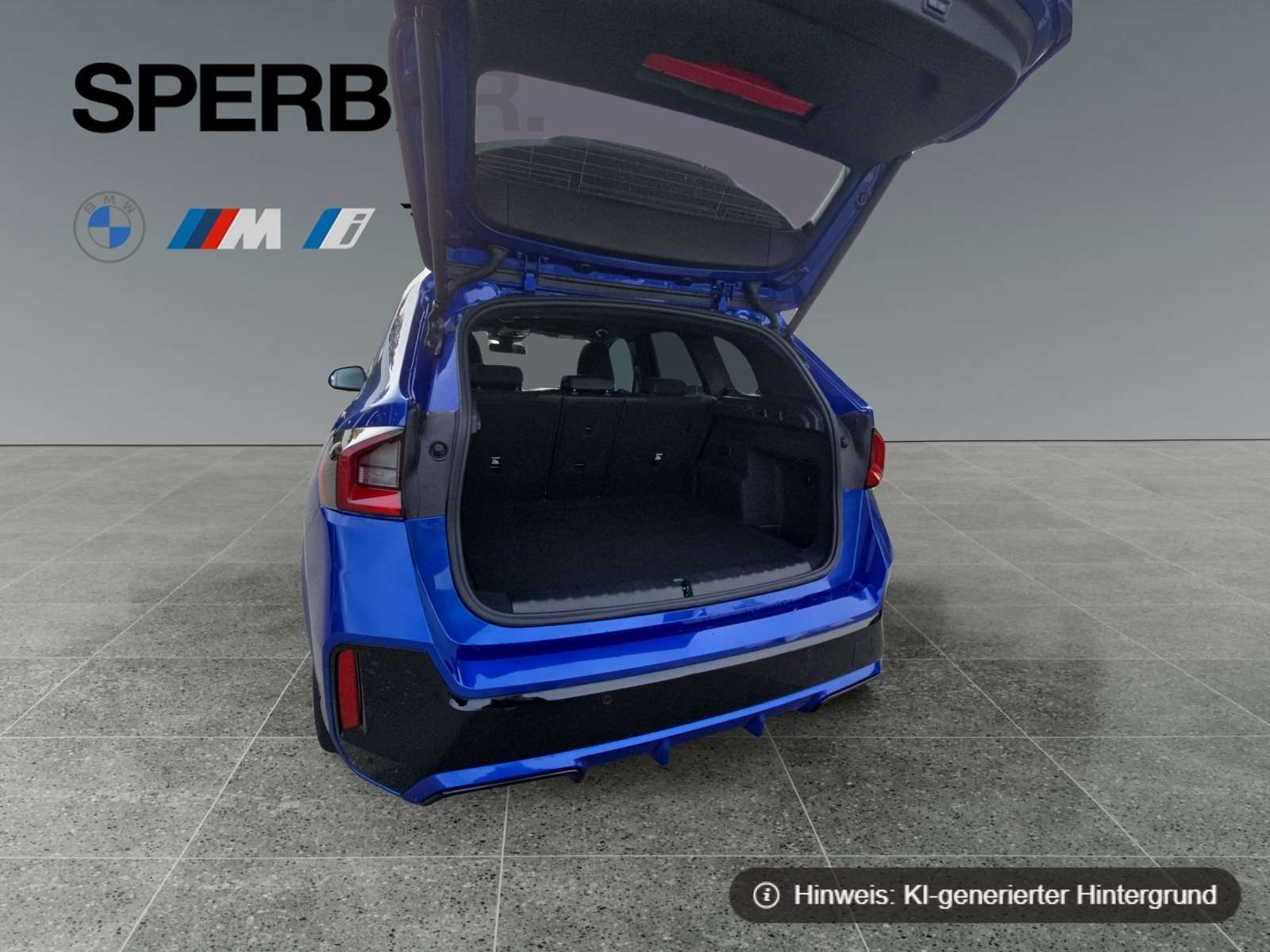 Fahrzeugbild eines BMW iX1
