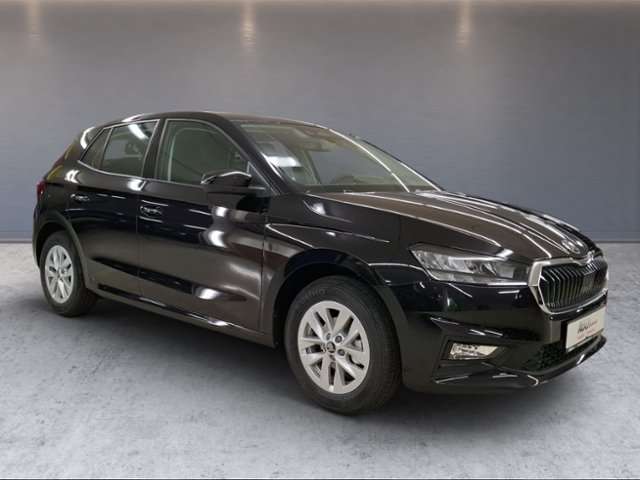 Fahrzeugbild eines Skoda Fabia