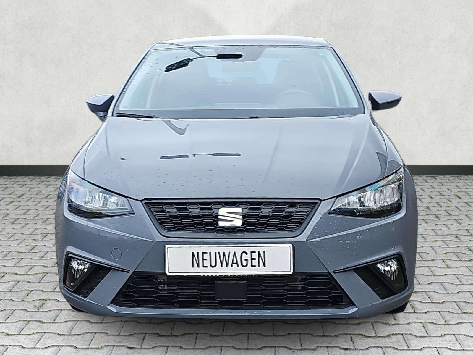 Fahrzeugbild eines SEAT Ibiza