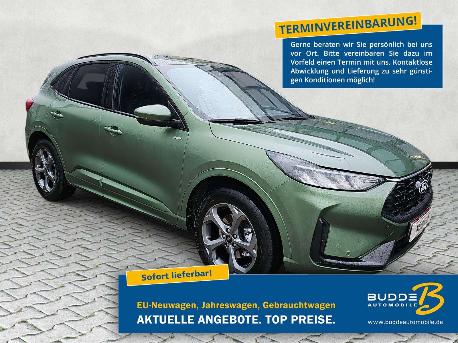 Fahrzeugbild eines Ford Kuga