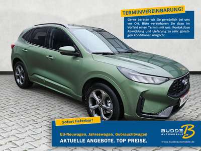 Bild Ford Kuga