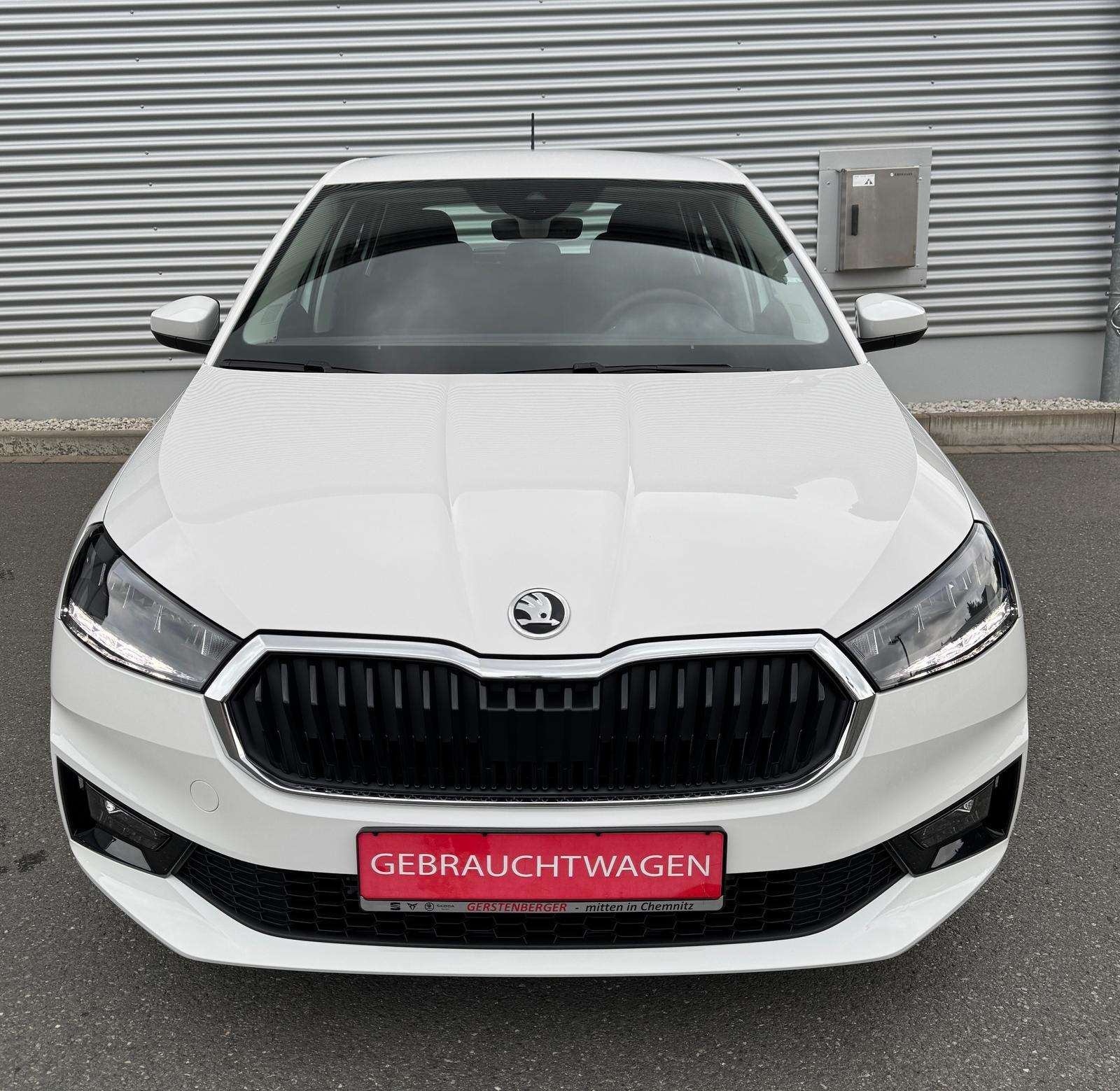 Fahrzeugbild eines Skoda Fabia