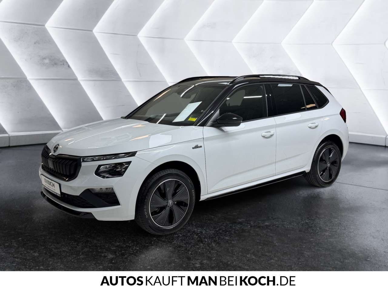 Fahrzeugbild eines Skoda Kamiq