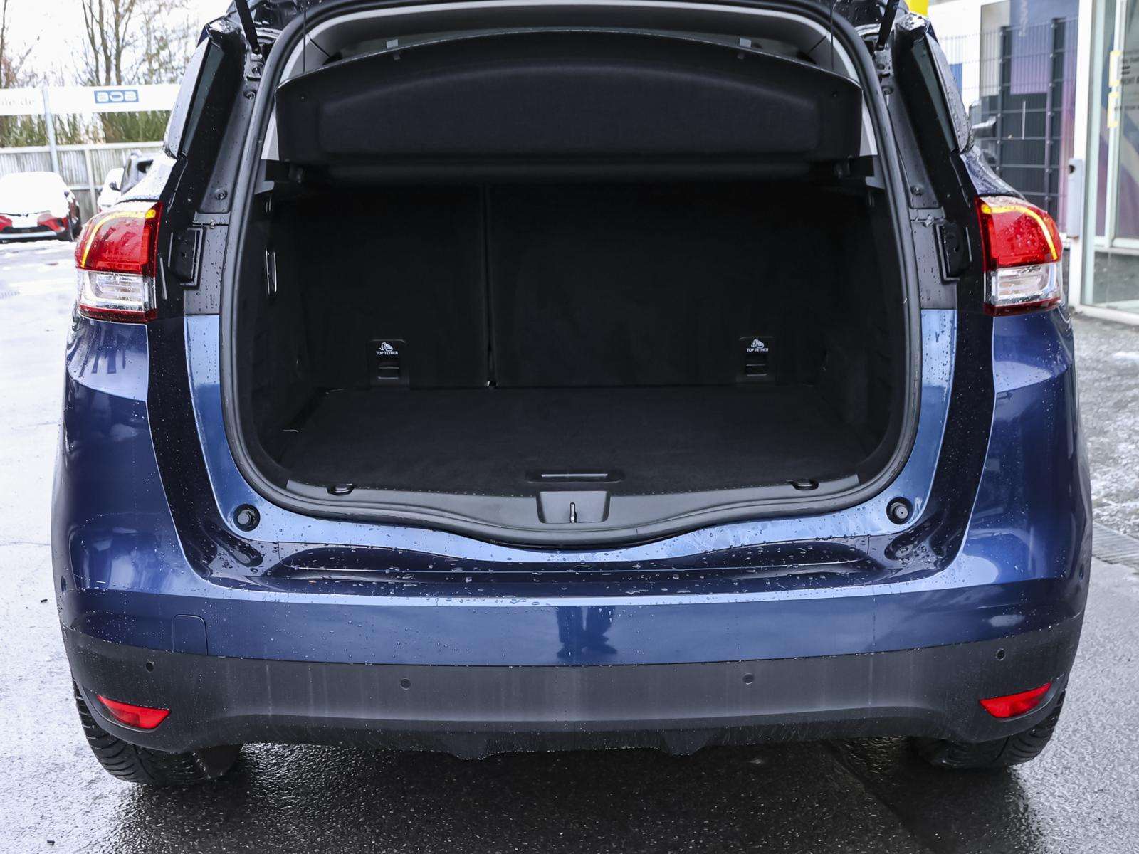 Fahrzeugbild eines Renault Scénic