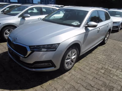 Bild Skoda Octavia