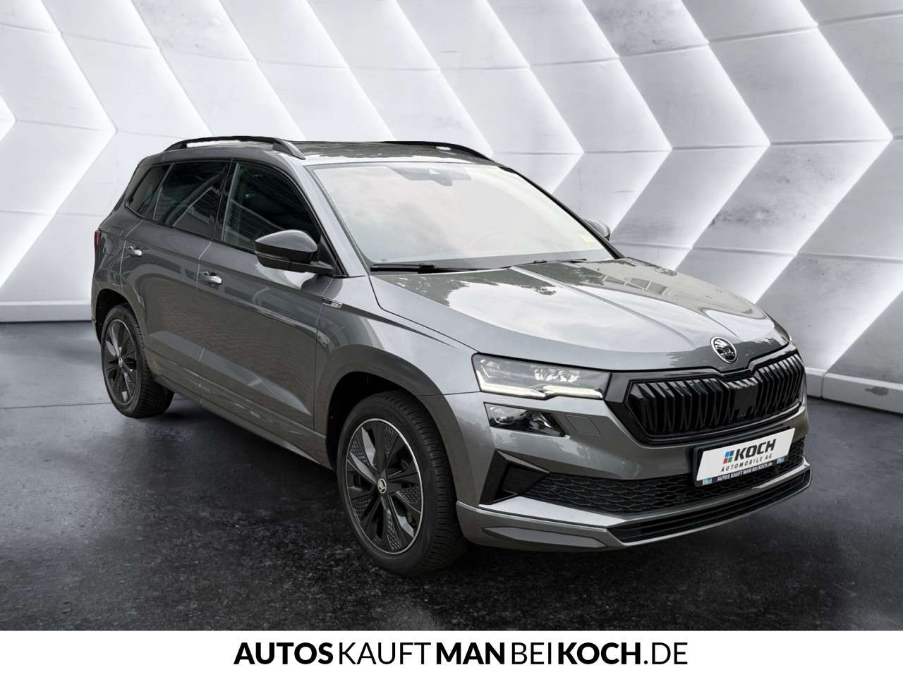 Fahrzeugbild eines Skoda Karoq