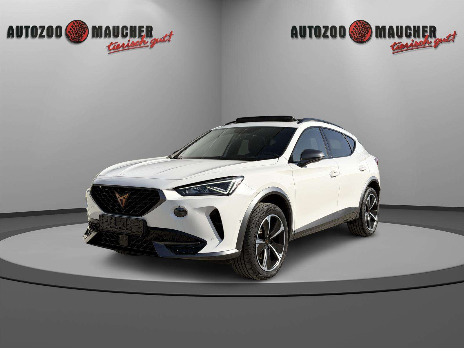 Fahrzeugbild eines CUPRA Formentor