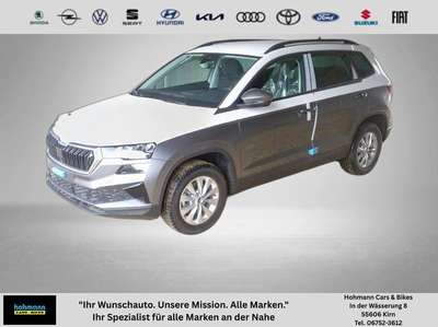 Bild Skoda Karoq