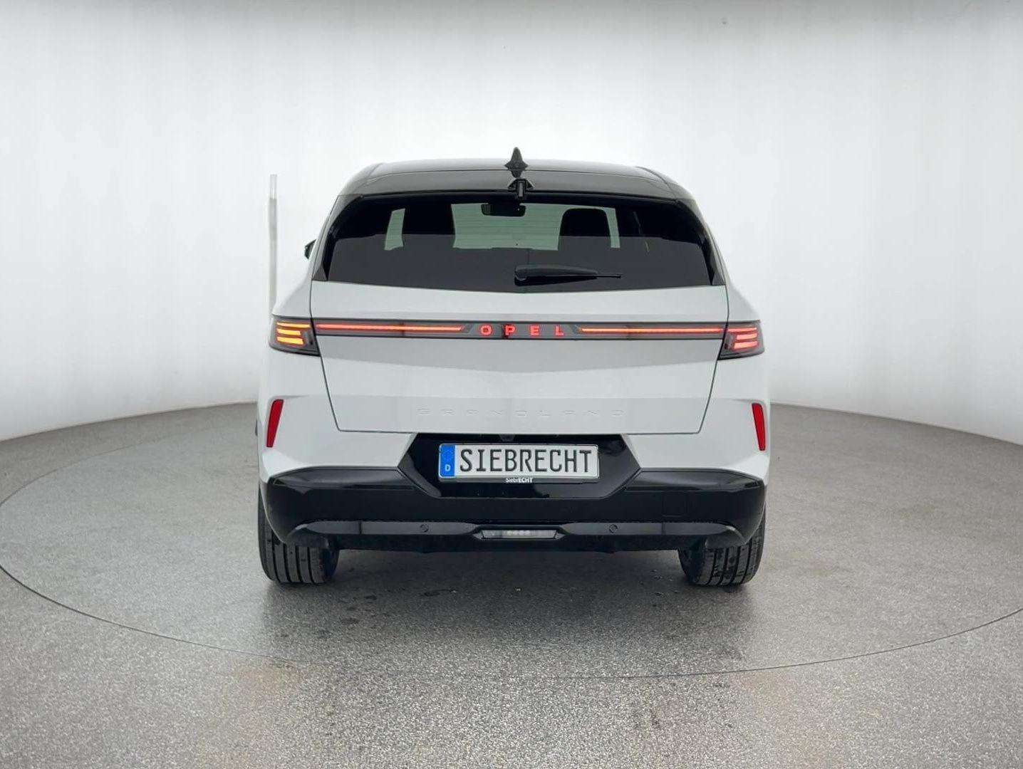 Fahrzeugbild eines Opel Grandland X