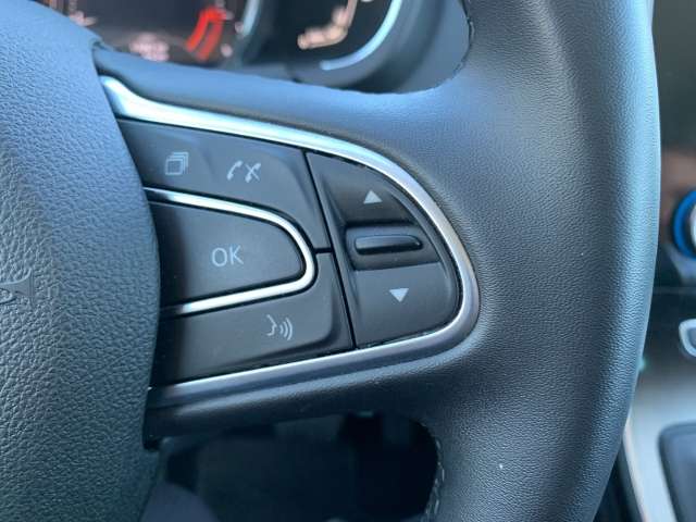 Fahrzeugbild eines Renault Grand Scénic