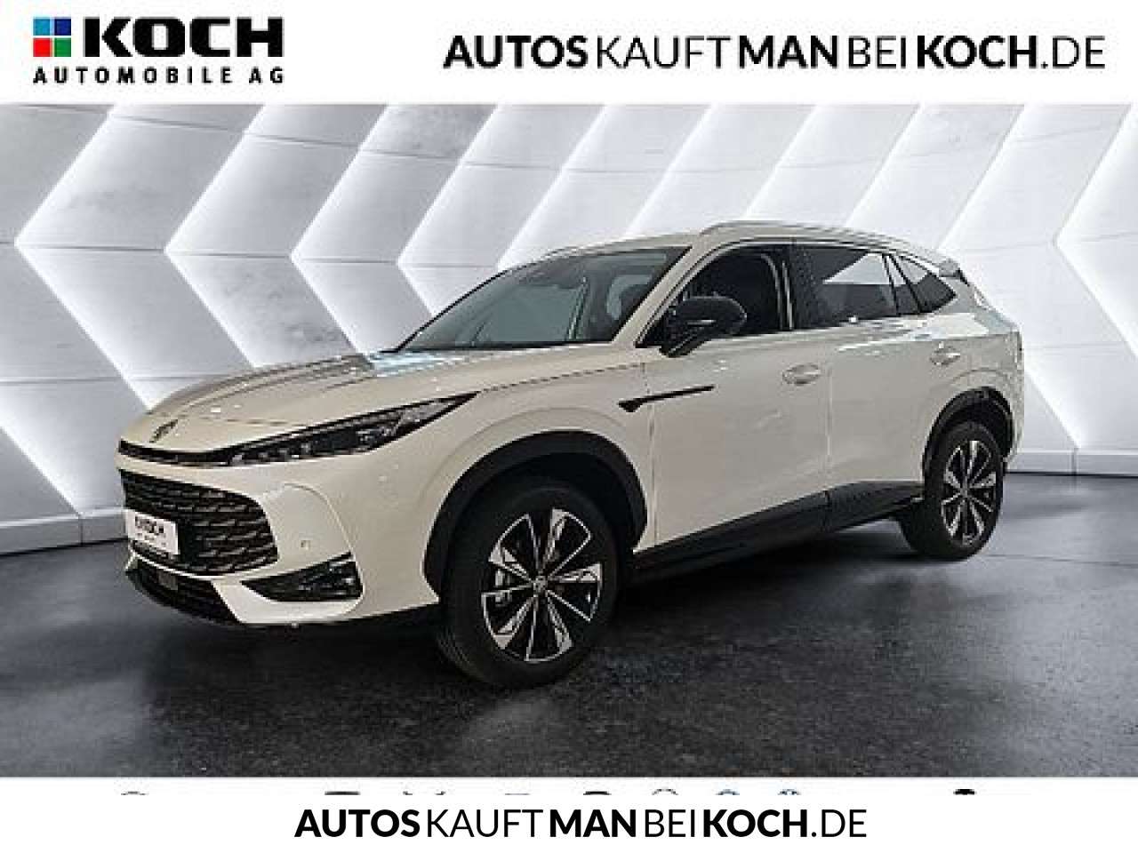 Fahrzeugbild eines MG HS