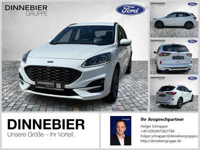 Bild Ford Kuga