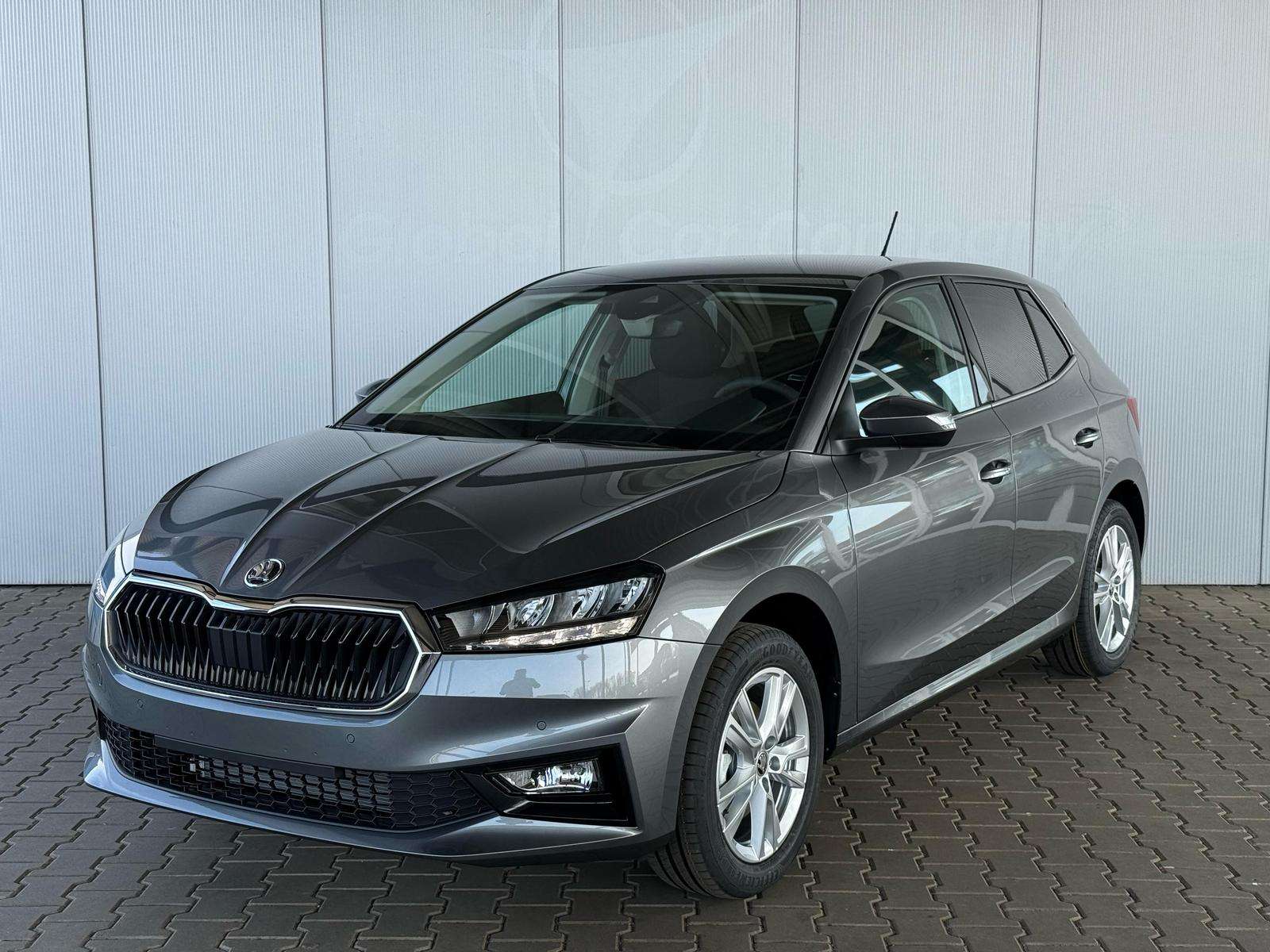 Fahrzeugbild eines Skoda Fabia