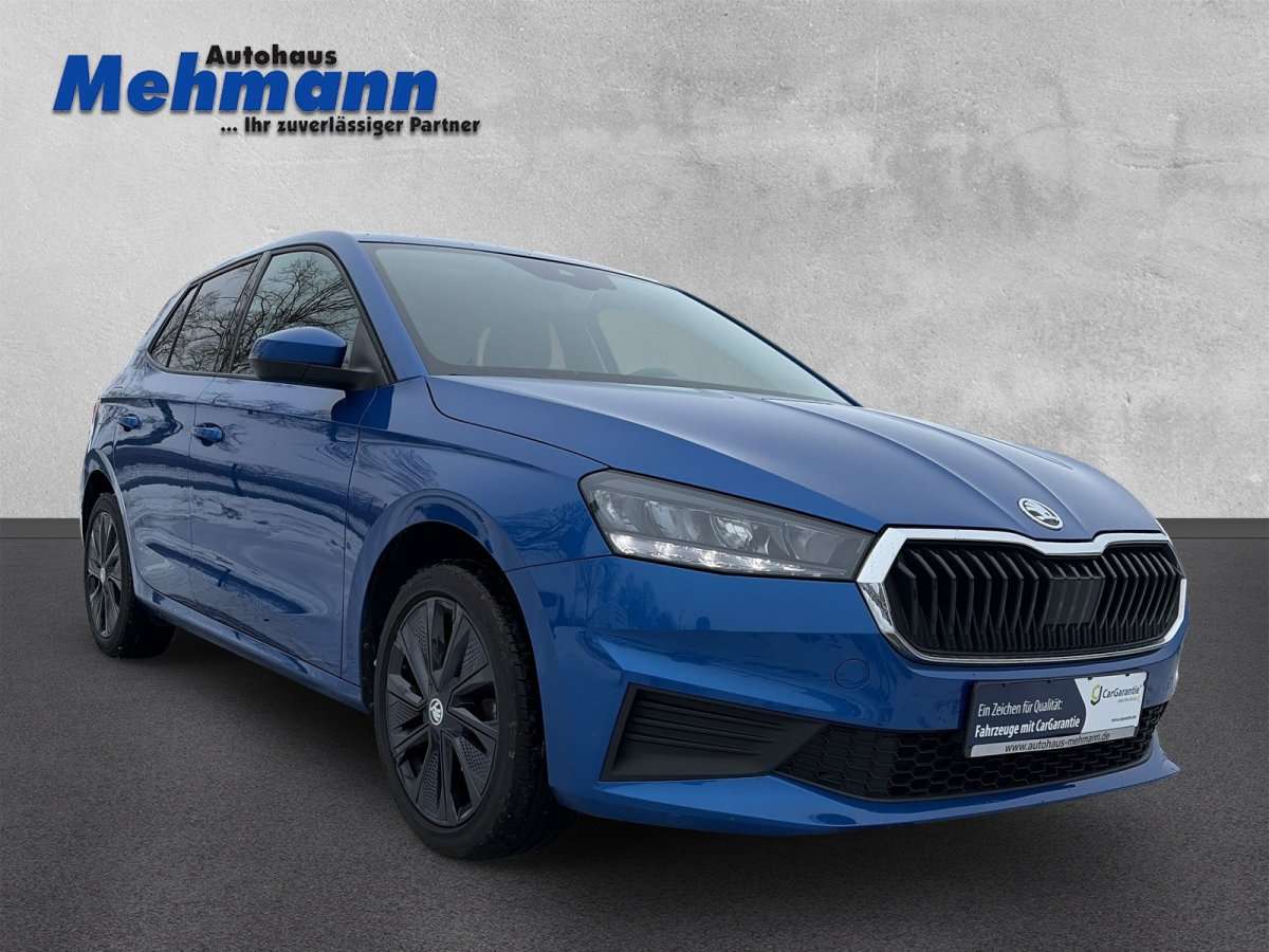 Fahrzeugbild eines Skoda Fabia