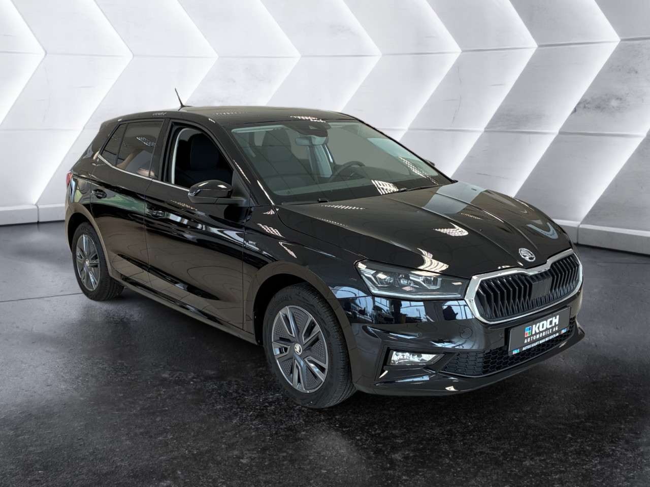 Fahrzeugbild eines Skoda Fabia