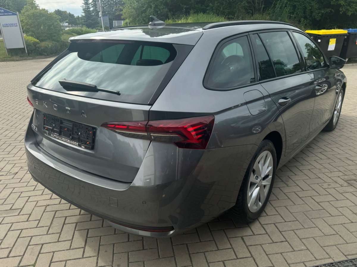 Fahrzeugbild eines Skoda Octavia