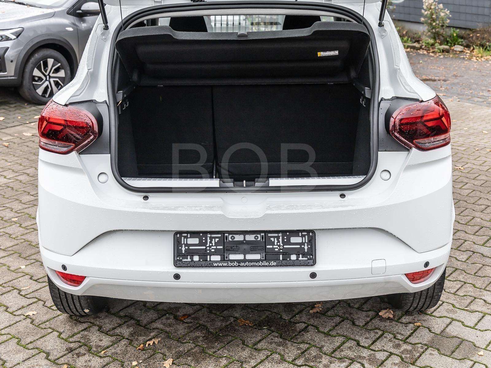 Fahrzeugbild eines Dacia Sandero