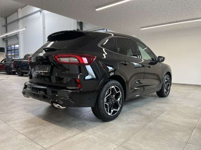 Fahrzeugbild eines Ford Kuga