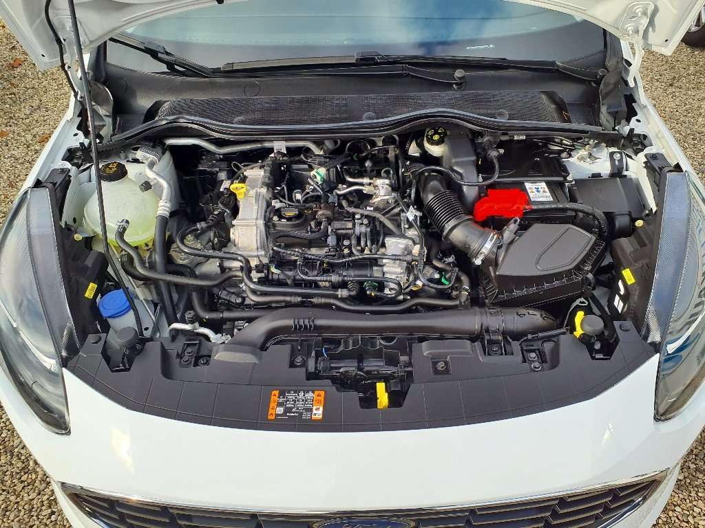 Fahrzeugbild eines Ford Fiesta