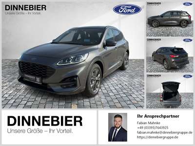 Bild Ford Kuga