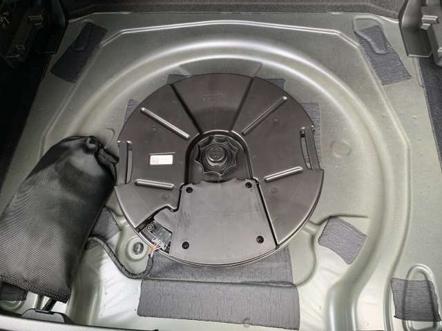 Fahrzeugbild eines CUPRA Terramar