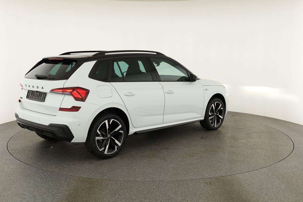 Fahrzeugbild eines Skoda Kamiq