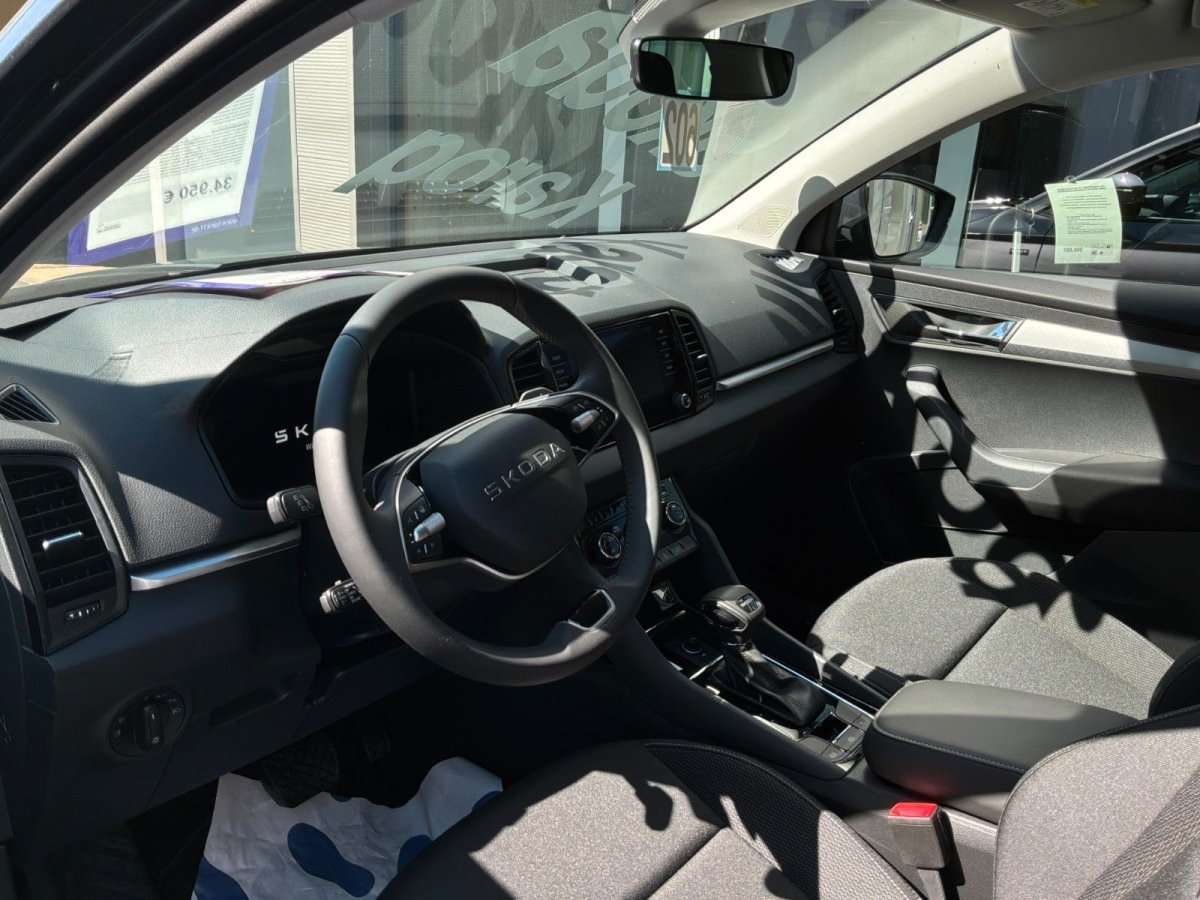 Fahrzeugbild eines Skoda Karoq