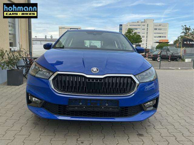 Fahrzeugbild eines Skoda Fabia