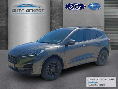 Bild Ford Kuga