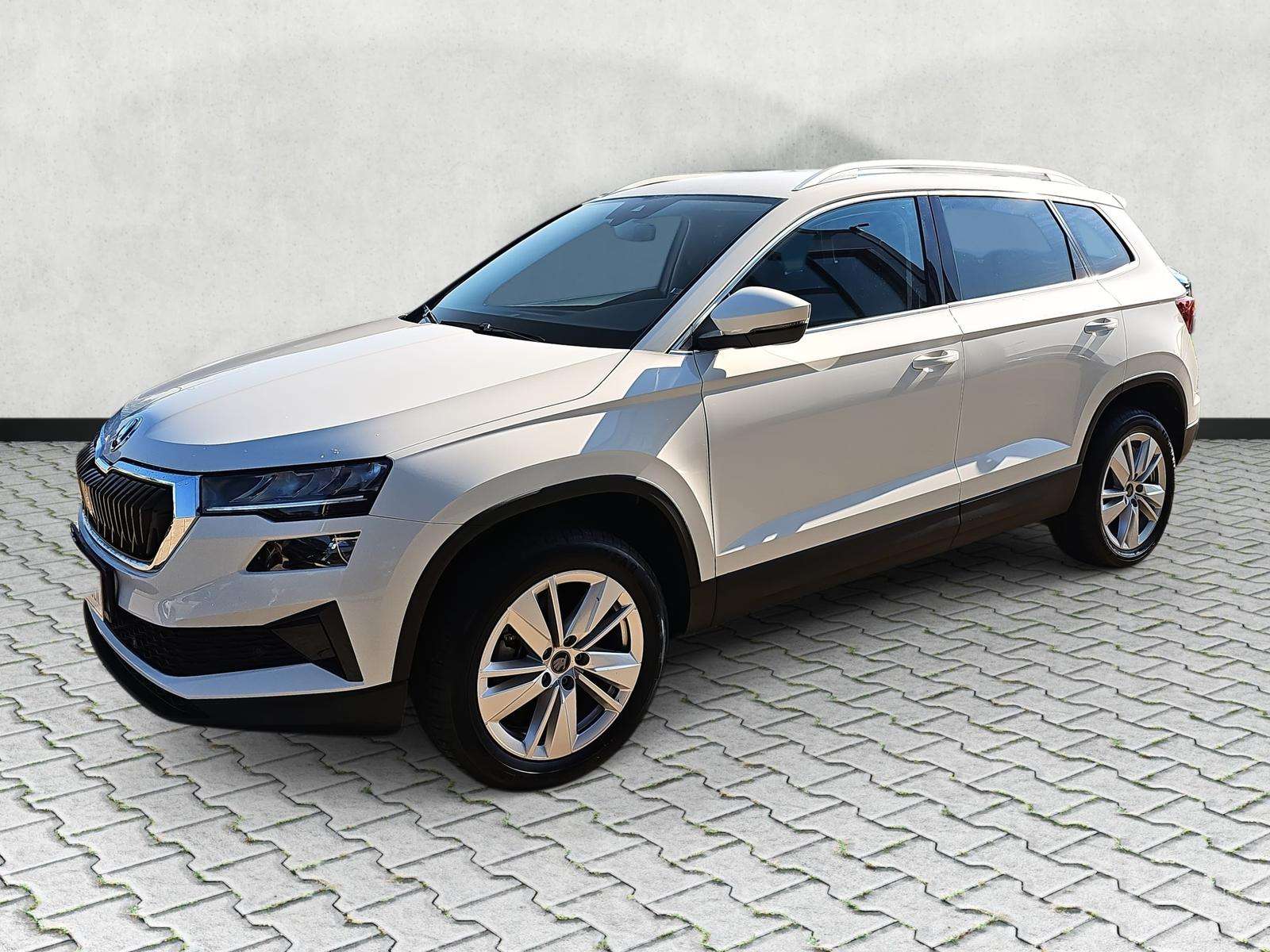 Fahrzeugbild eines Skoda Karoq