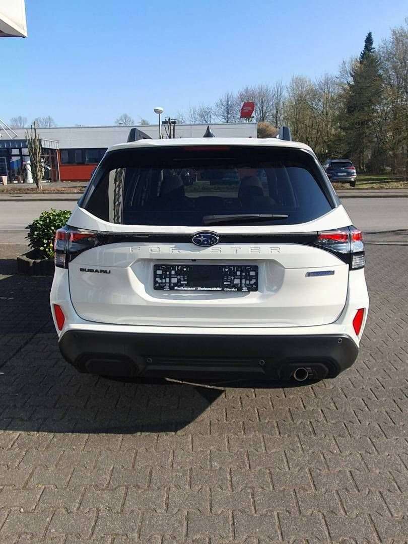 Fahrzeugbild eines Subaru Forester