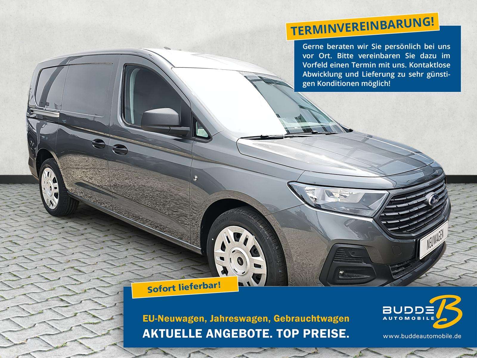 Fahrzeugbild eines Ford Transit Connect