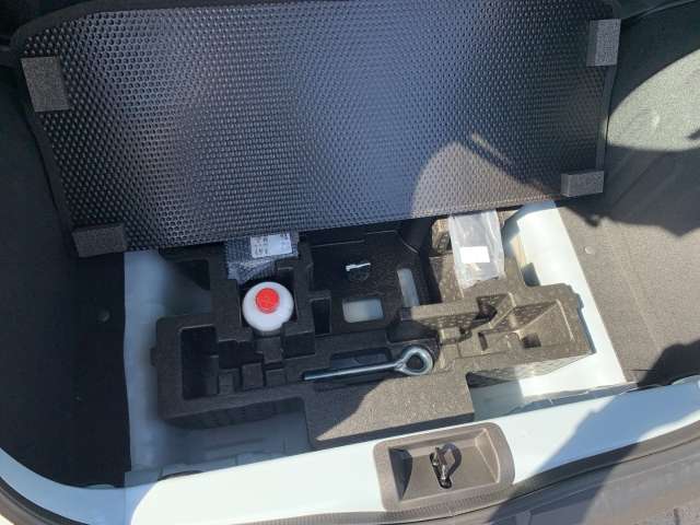 Fahrzeugbild eines Dacia Spring