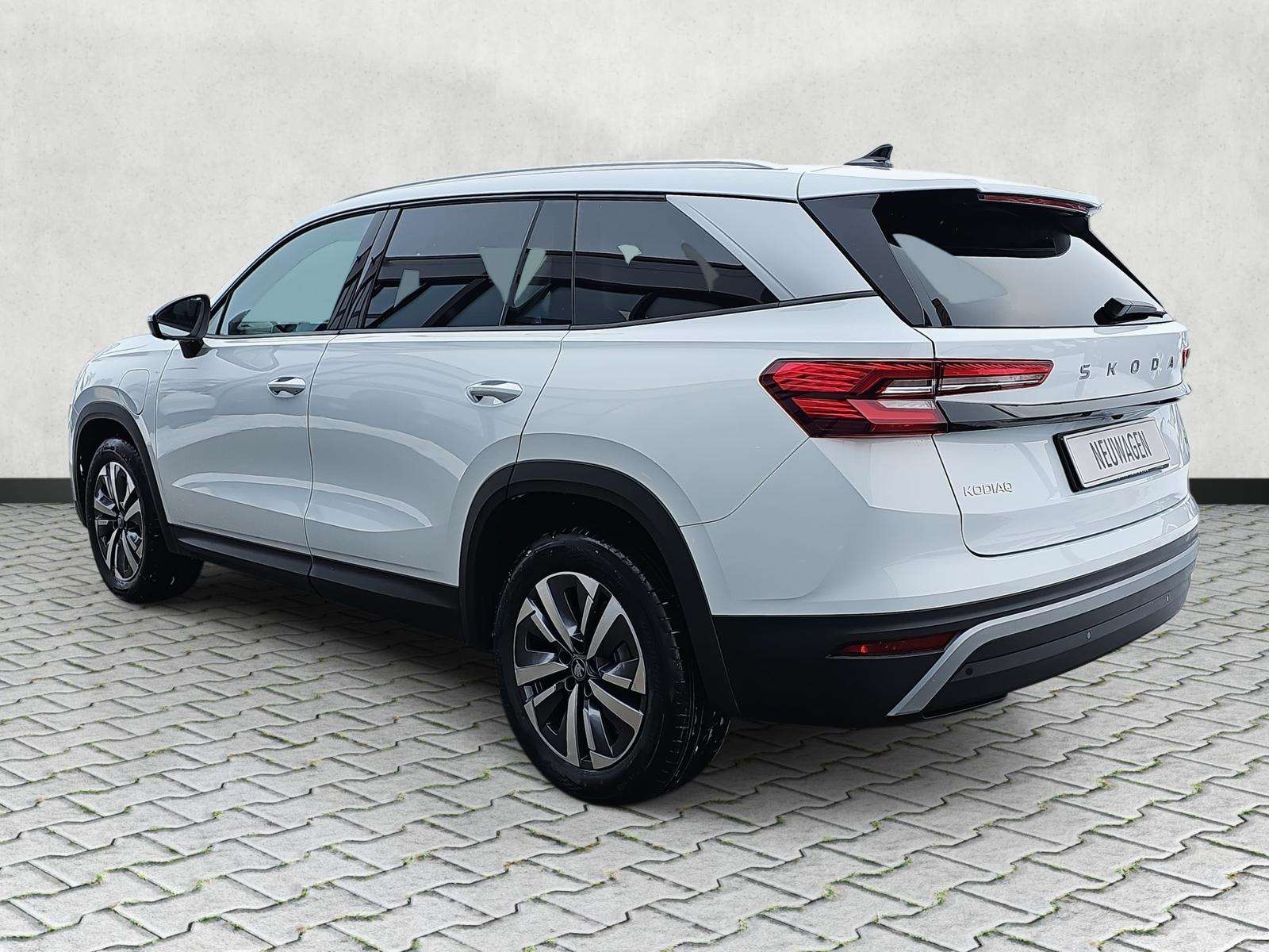 Fahrzeugbild eines Skoda Kodiaq