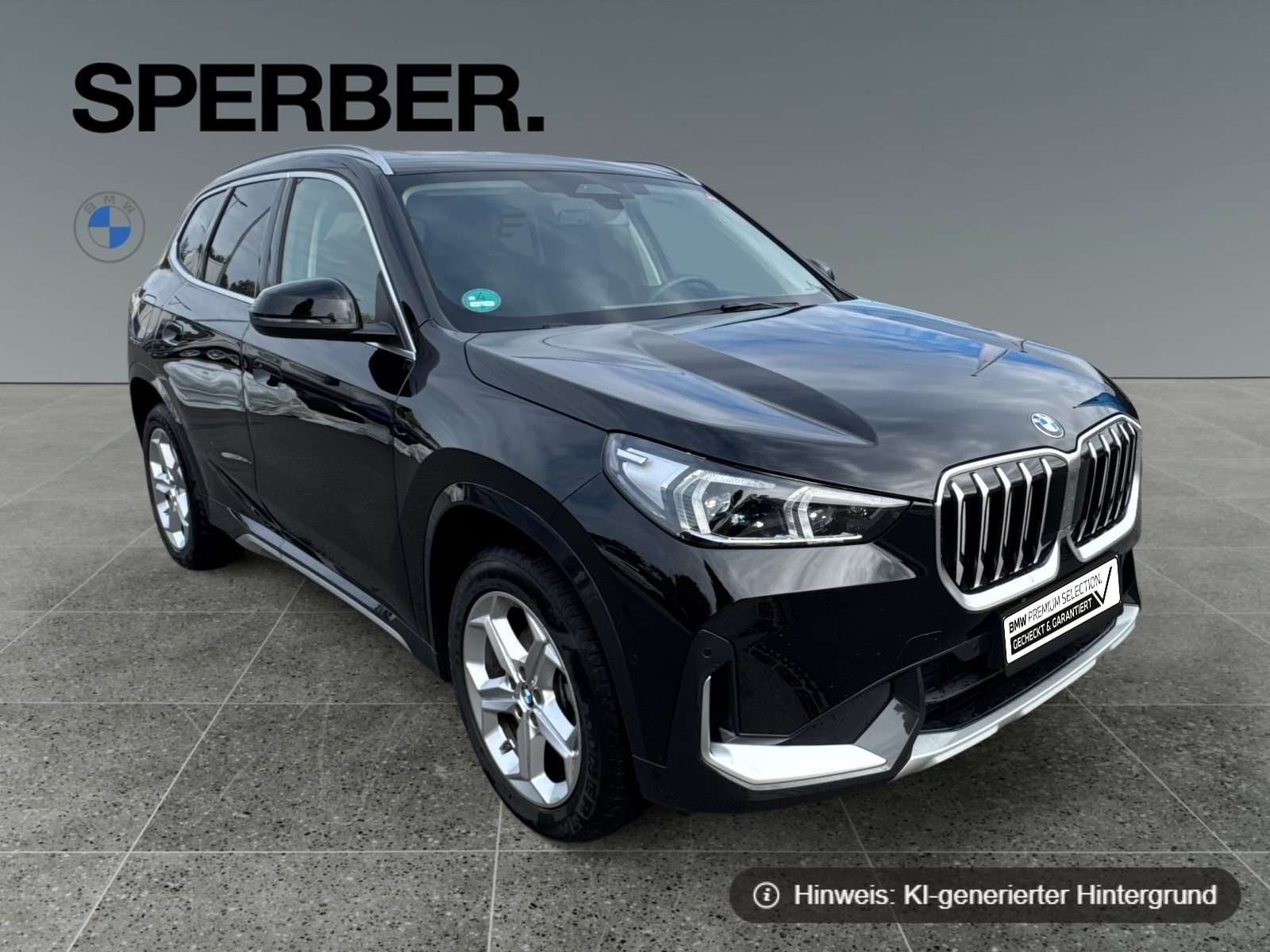 Fahrzeugbild eines BMW X1