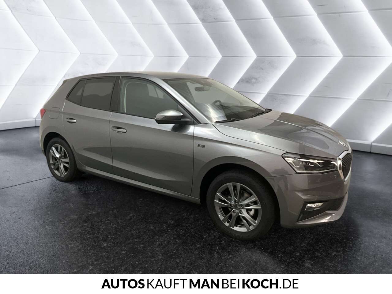 Fahrzeugbild eines Skoda Fabia