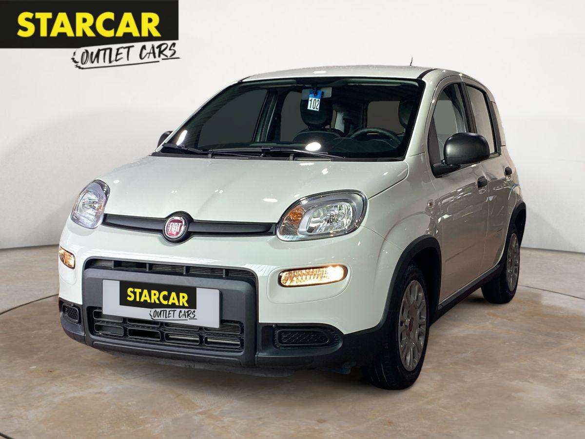 Fahrzeugbild eines Fiat Panda