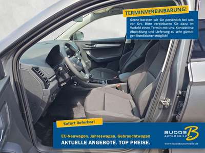 Bild Skoda Karoq