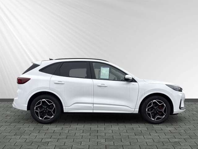 Fahrzeugbild eines Ford Kuga