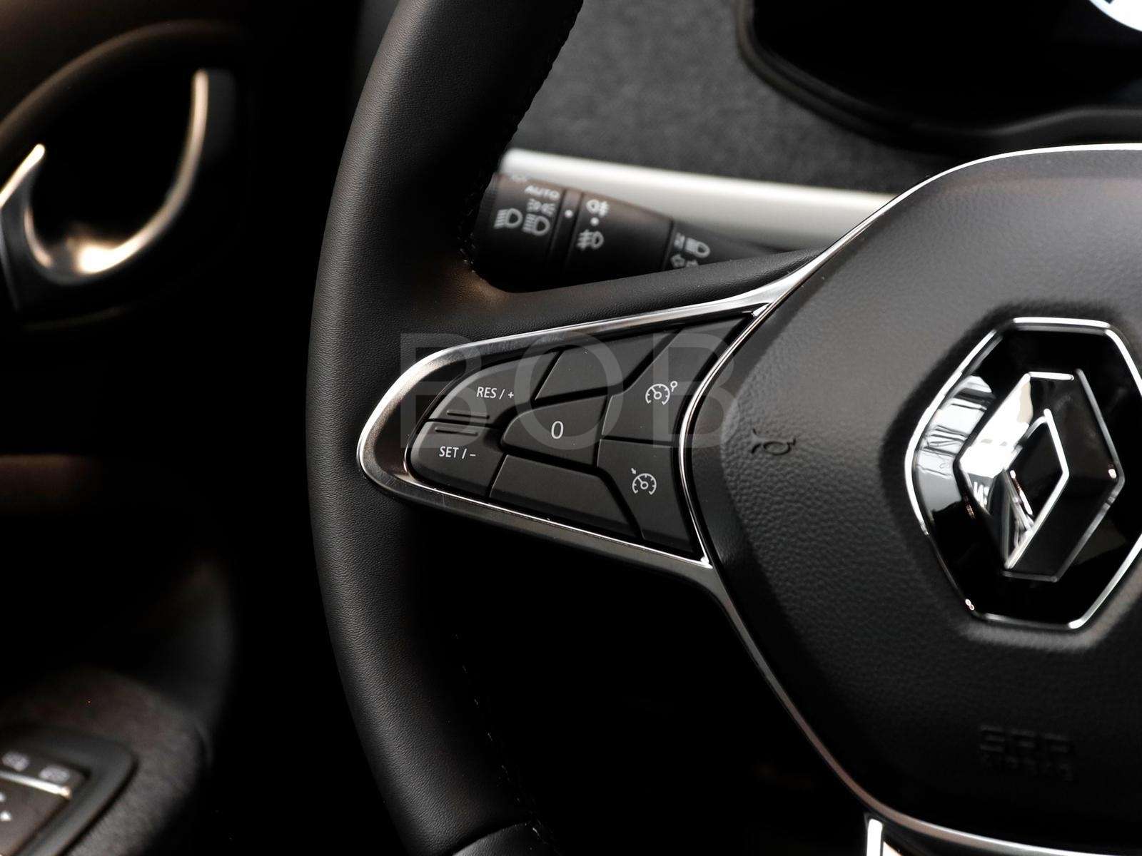 Fahrzeugbild eines Renault ZOE