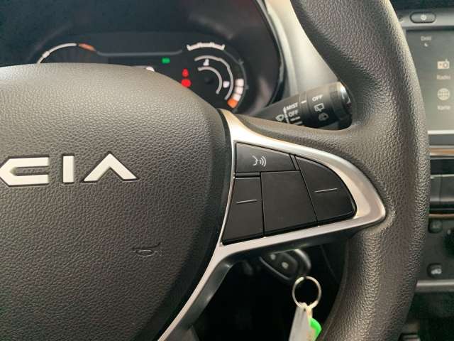 Fahrzeugbild eines Dacia Spring