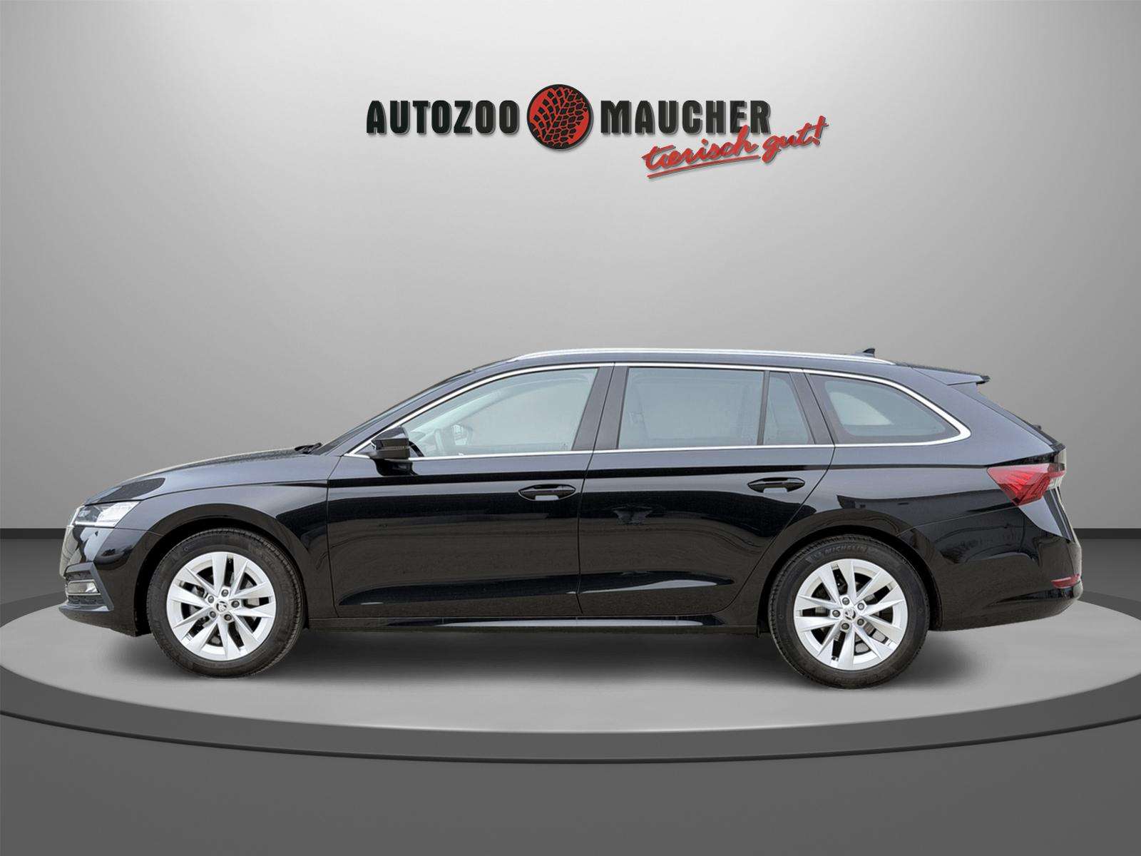 Fahrzeugbild eines Skoda Octavia
