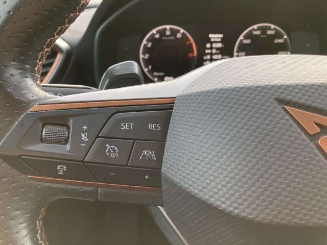 Fahrzeugbild eines CUPRA Formentor